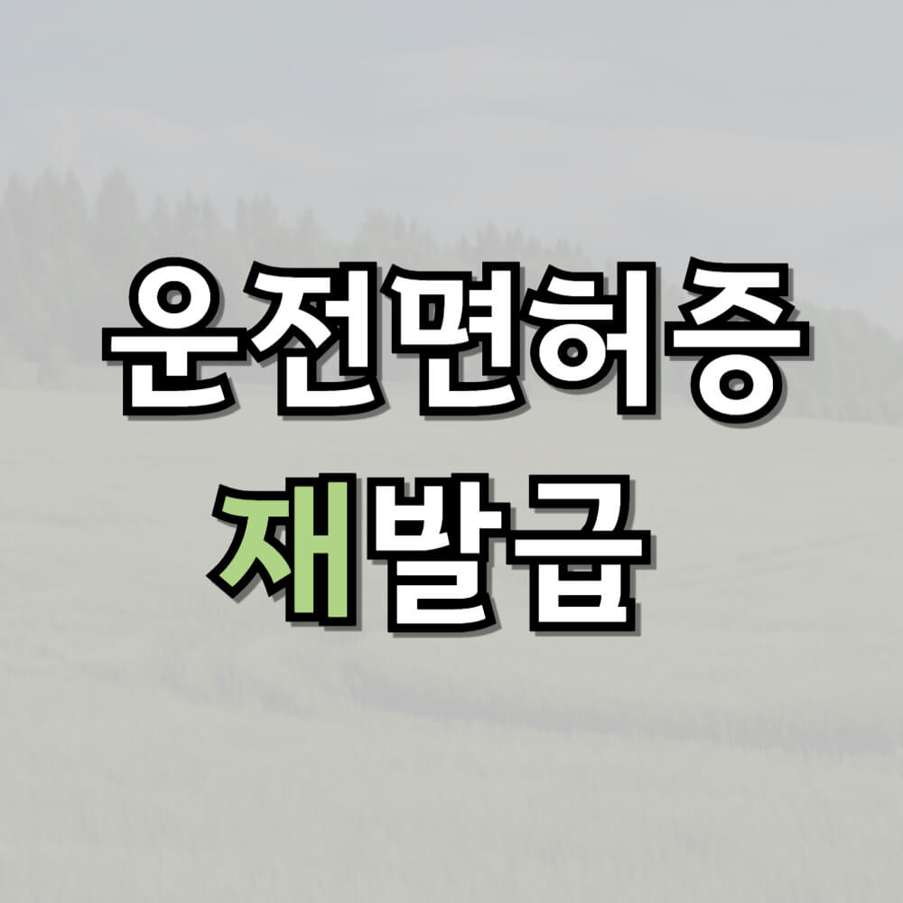 운전면허증 재발급 방법