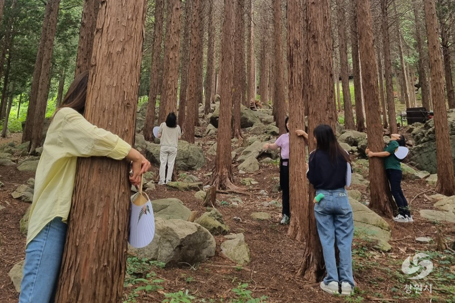 창원 편백 치유의 숲