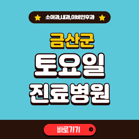 금산군 토요일 진료 병원 찾기 ❘ 주말 문여는 소아과, 내과, 이비인후과 리스트