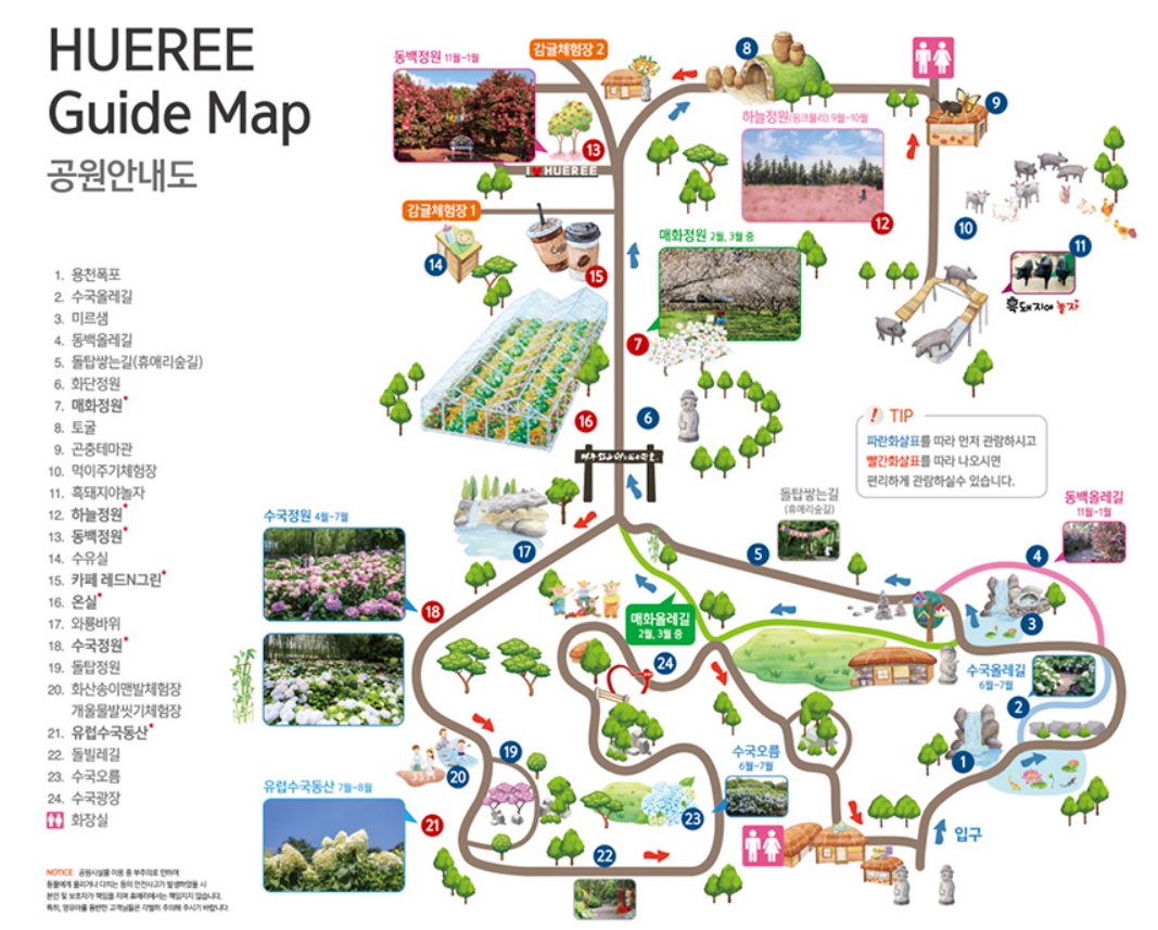 휴애리 유채꽃 축제