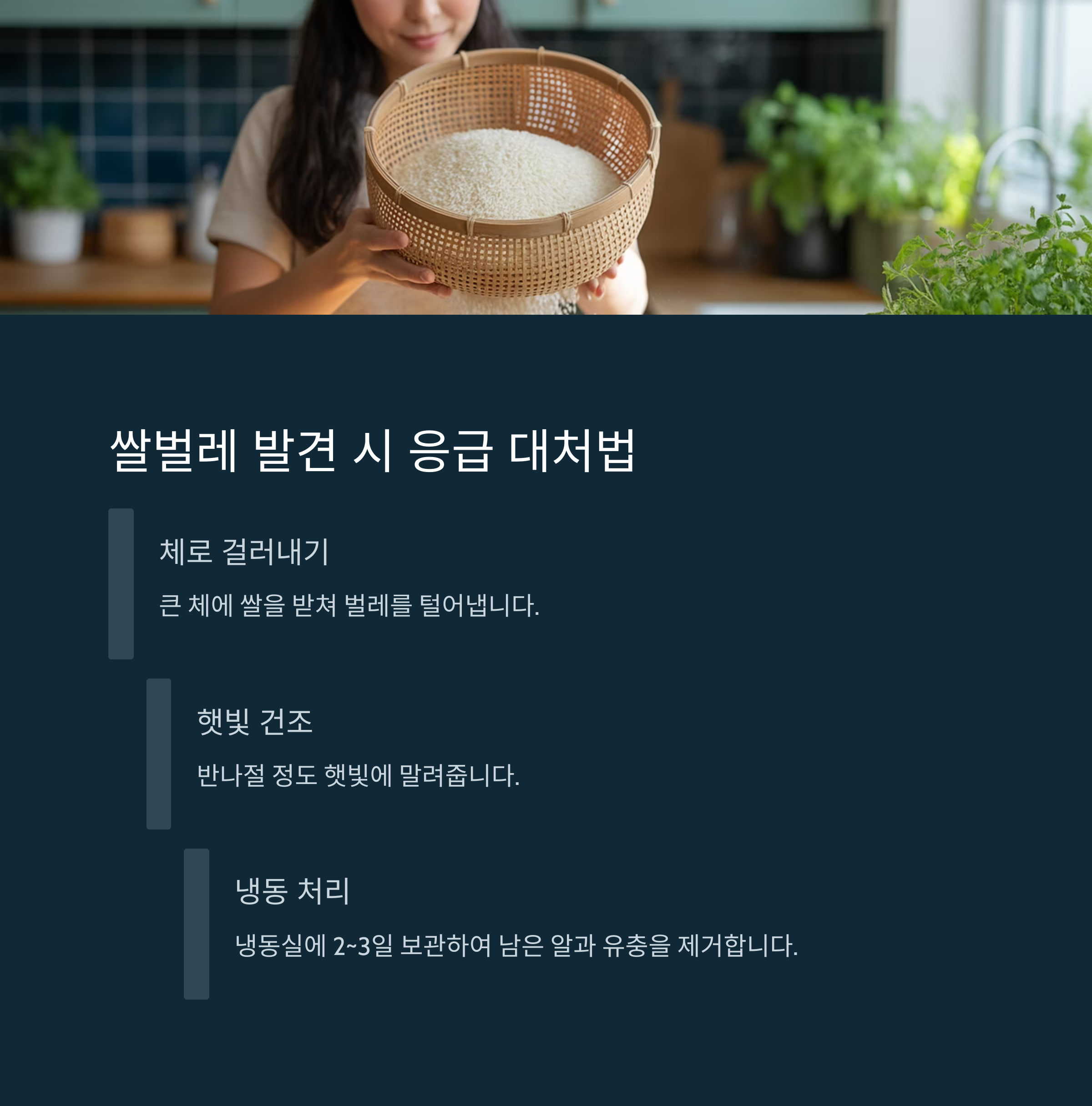 쌀벌레가 생겼을 때의 응급 대처법