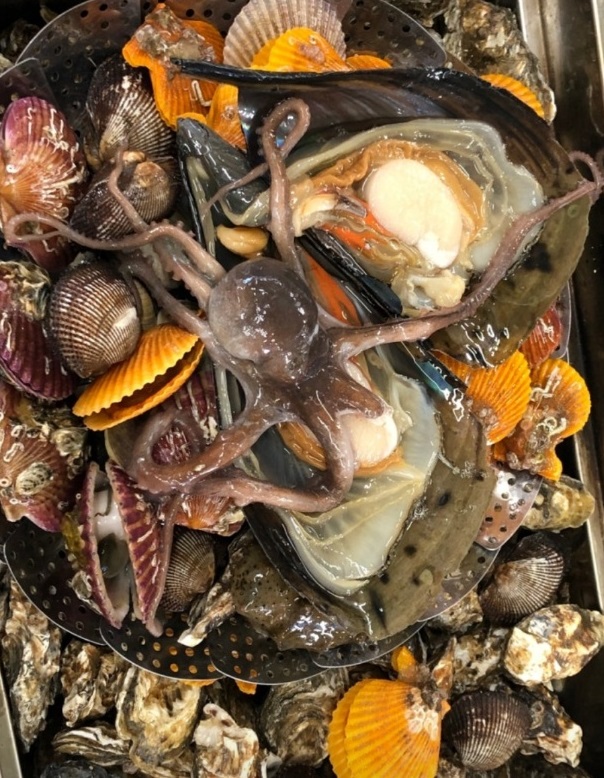 한국기행-천북굴단지