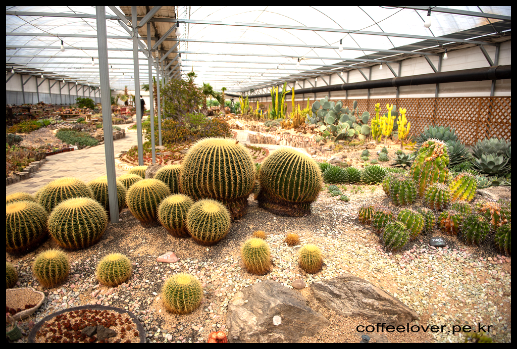 이천여행 아이와 가볼만한곳 덕평공룡수목원