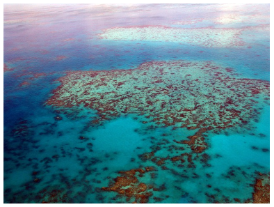 유네스코 세계문화유산, 그레이트 배리어 리프의 아름다움과 중요성
