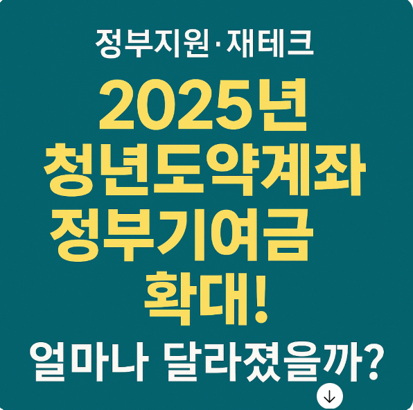 2025년 청년도약계좌 정부기여금 확대! 얼마나 달라졌을까?