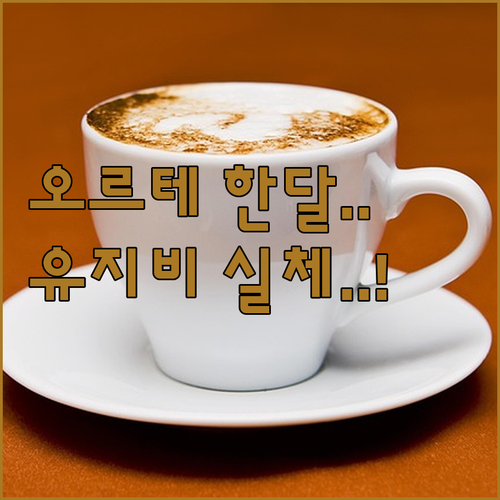 오르테 에스프레소 머신 한 달 사용 ..