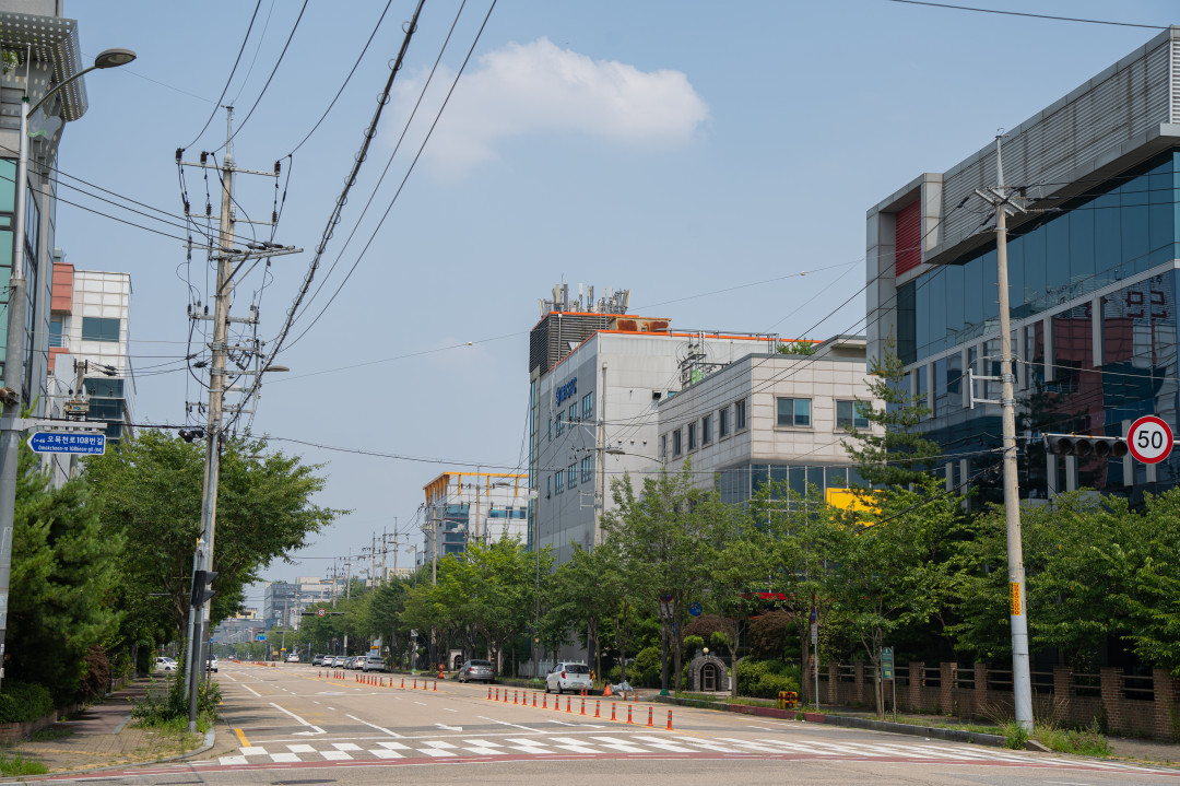 황구지천 벚꽃 주차
