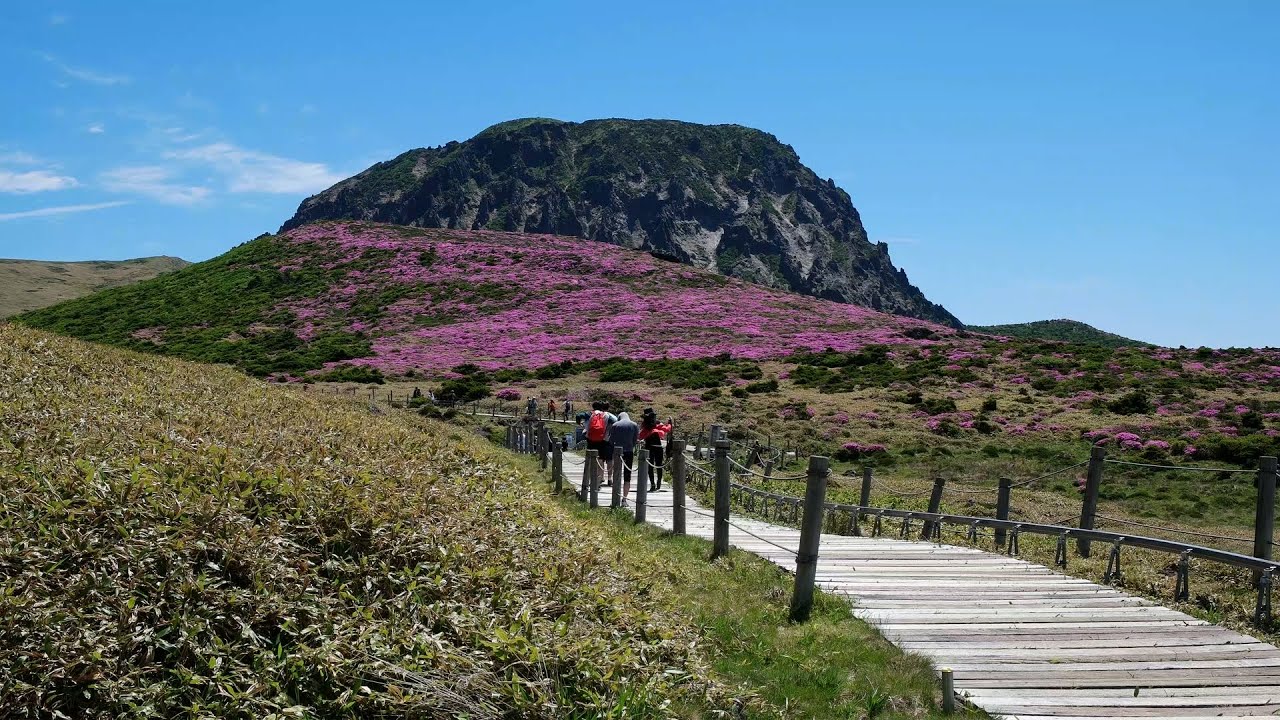 한라산 영실코스