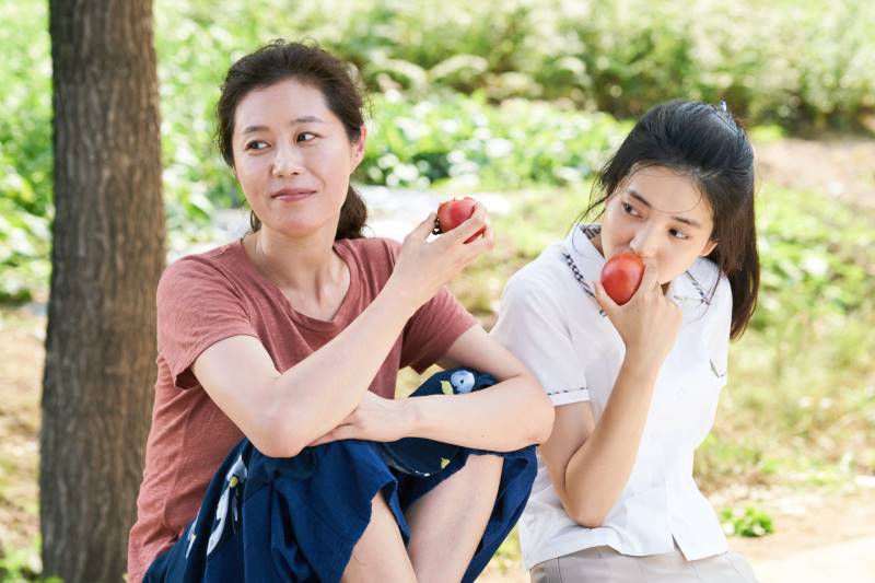 리틀 포레스트 공식 스틸컷