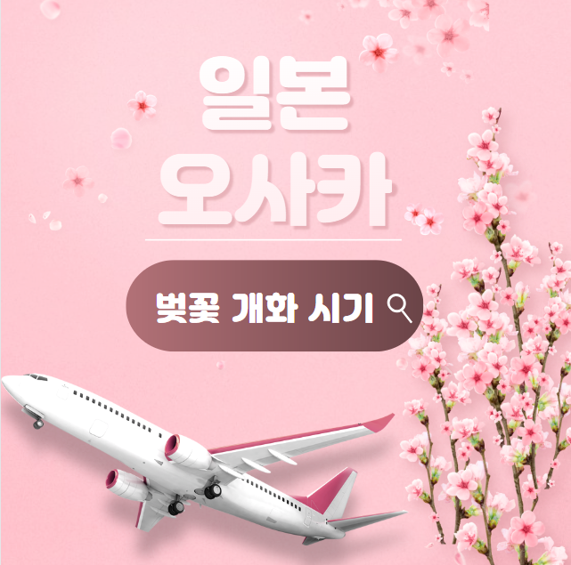 일본 오사카 벚꽃 개화 시기