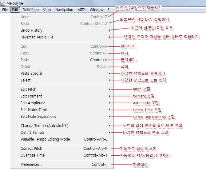 멜로다인 메뉴 설명