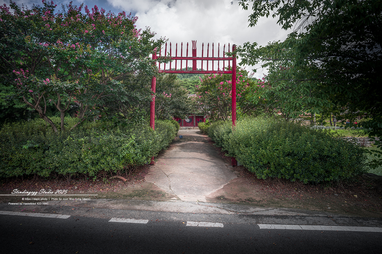 #논산 #명재고택 #노성향교 #고택 #배롱꽃