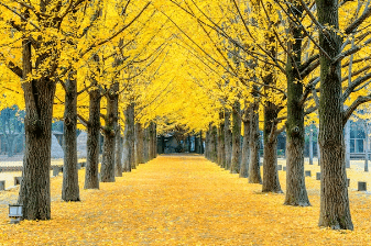 2023λ
λ¨νμκΈ° μμΈ‘μ§λ