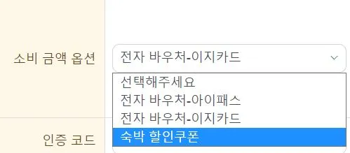 대만 여행 지원금 종류