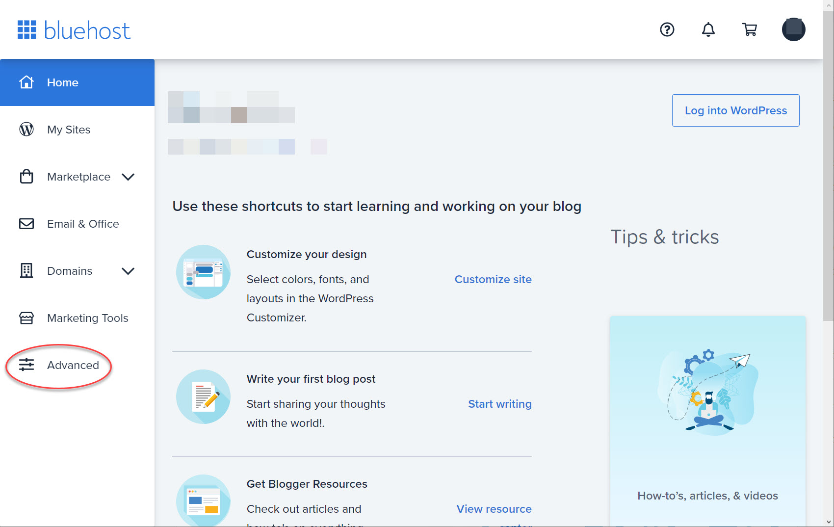 블루호스트에서 최근 방문자 IP 주소 확인하는 방법 (cPanel)