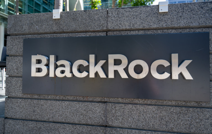 XRP ETF 투자 전략 : 암호화폐 시장의 다음 주자