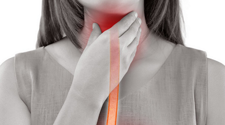 역류성 식도염에 좋은 과일 TOP 5