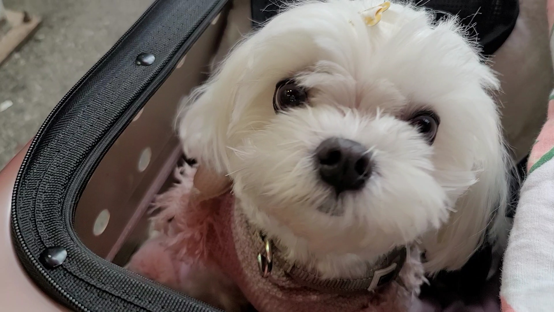 라떼와 함께 동반 식당