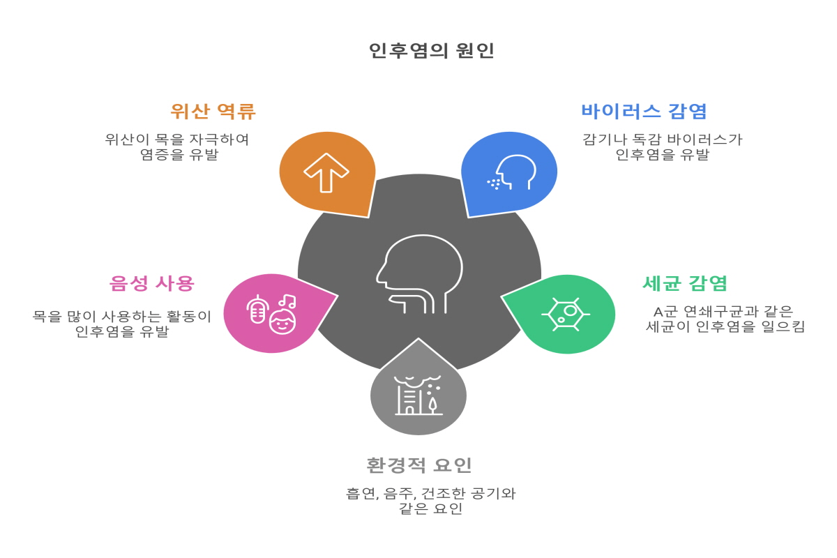 인후염 증상
