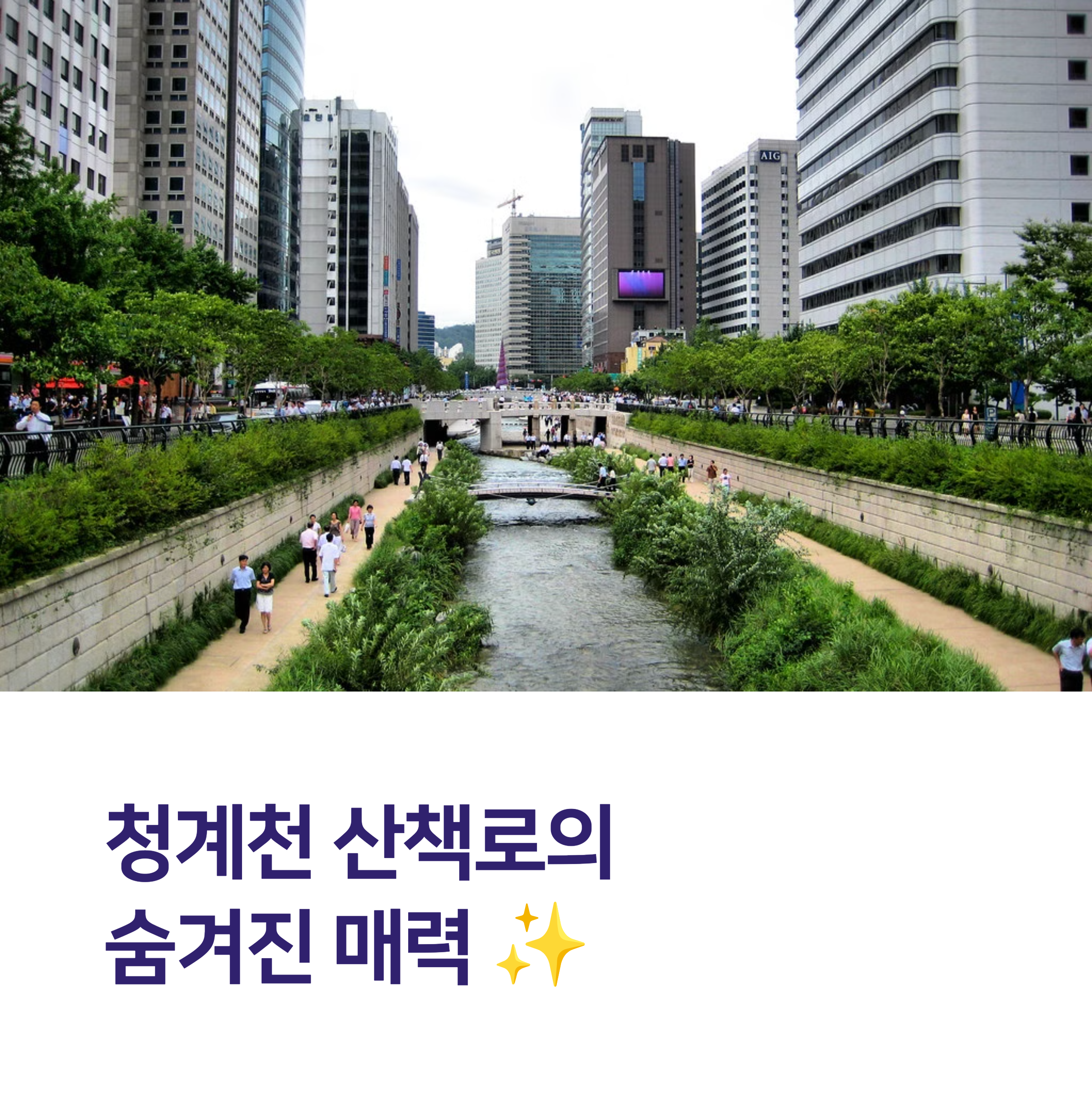 청계천 산책로 걷기 좋은 시간대 총정리! 도심 속 힐링 시간 최적화하기