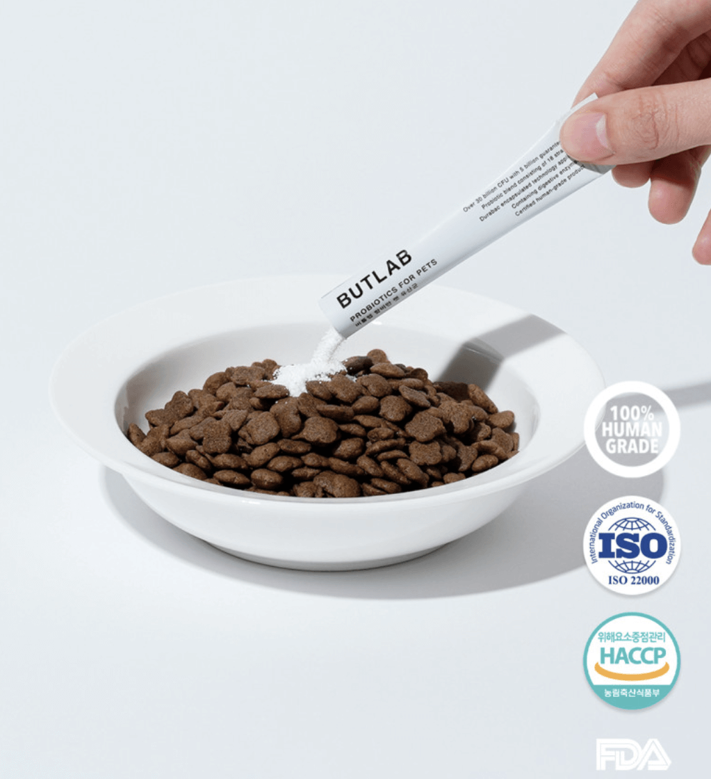 버틀랩 AF균주 항염유산균 LF42프로바이오틱스 장건강과 체중관리