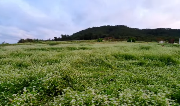 혼자만알고싶은여행지