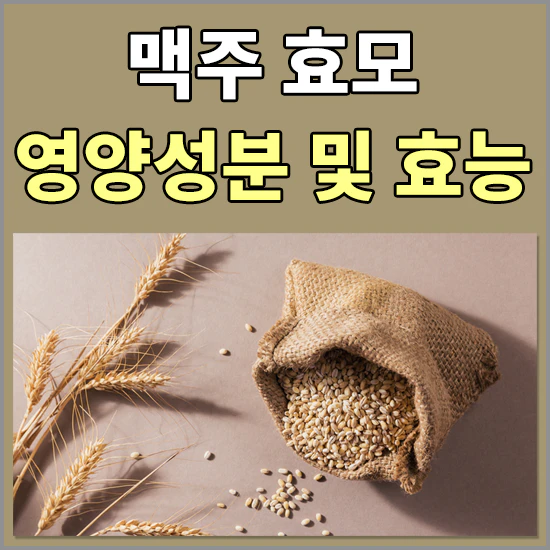 맥주 효모