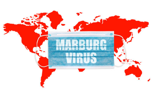 마르부르크병 마버그병이란 원인과 증상