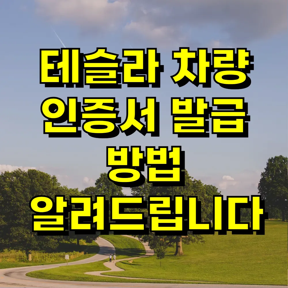 테슬라 차량 인증서 발급 방법 알려드립니다