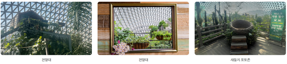 거제 정글돔