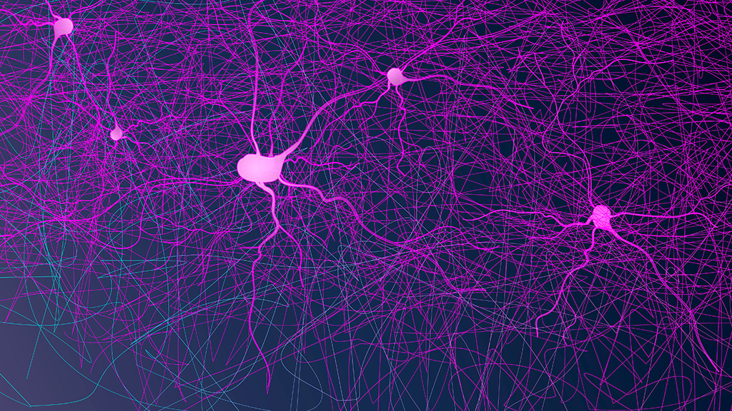 세포들이 서로 연결되어 복잡하게 얽혀있는 모습