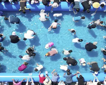 서천 홍원항 자연산 전어 꽃게 축제6