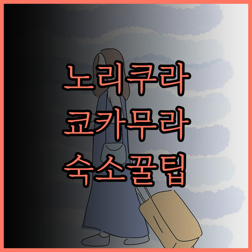 노리쿠라 고원 쿄카무라 숙소 완벽 분