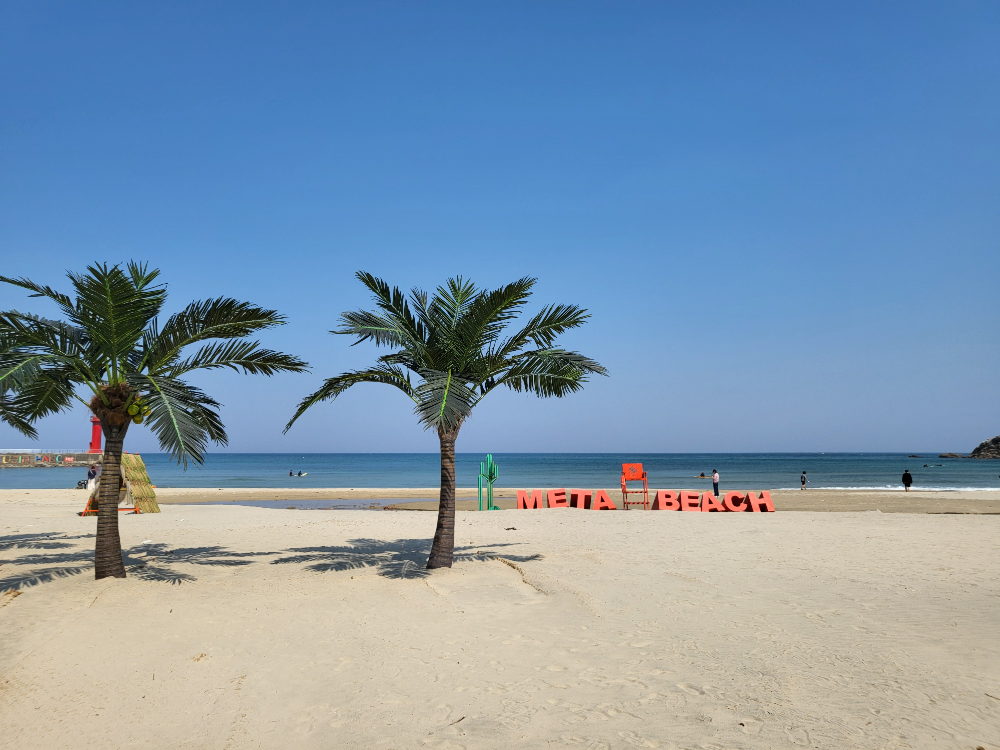 강원도 설악해수욕장 수제버거 맛집 '메타비치 양양' 실내 뷰