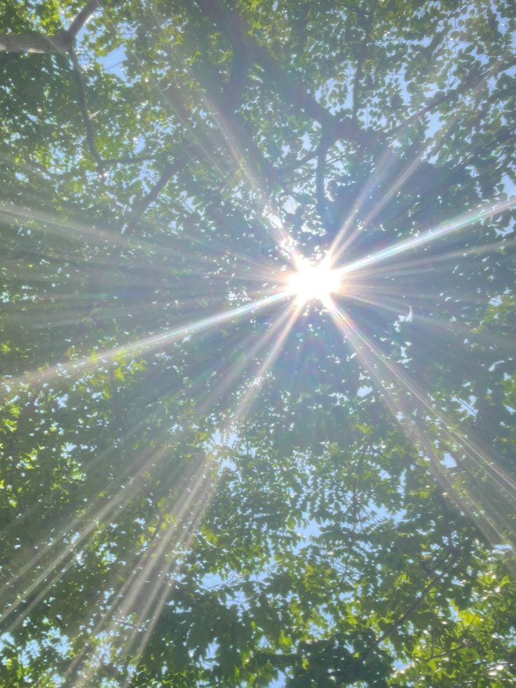 햇빛을 먼저 보는 사람, 하루가 더 밝아집니다 – 아침 햇빛 루틴