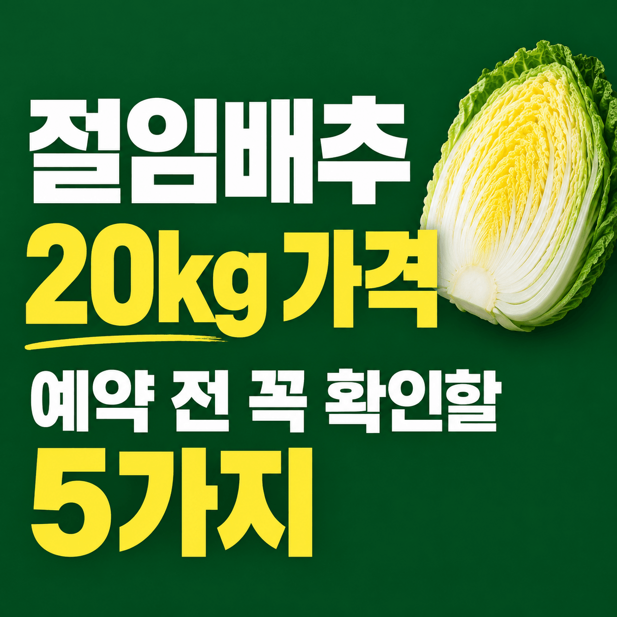 절임배추 20kg 가격, 예약 전 꼭 확인할 5가지