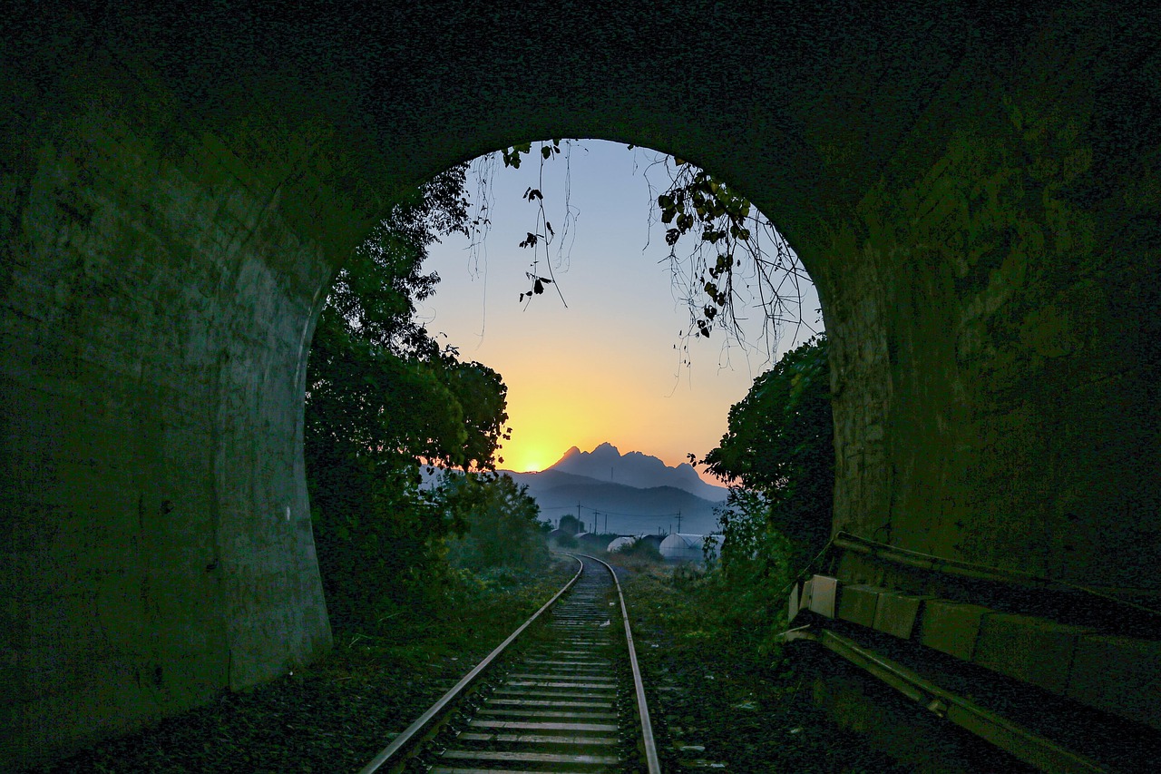 2025년 하반기 한국영화 기대작 관련 사진