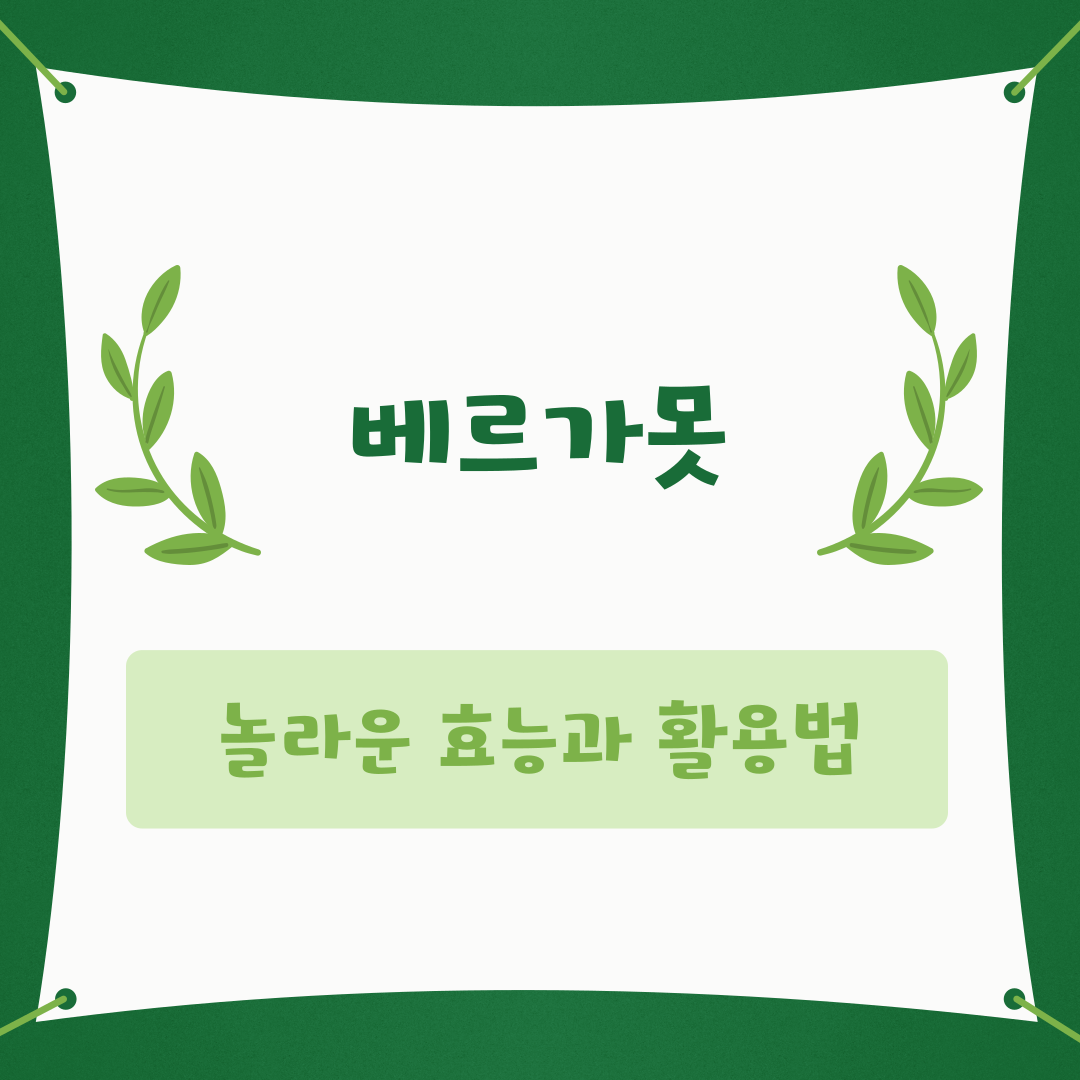 베르가못의 놀라운 효능과 활용법