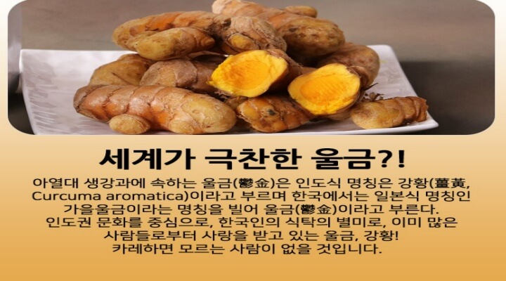 강황(울금)이란?