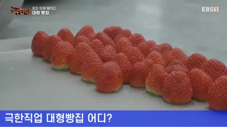 딸기 손질 본누아벨베이커리