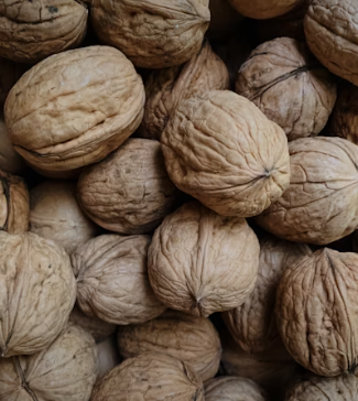 호두 효능과 부작용 하루섭취량 먹는방법 고르는법