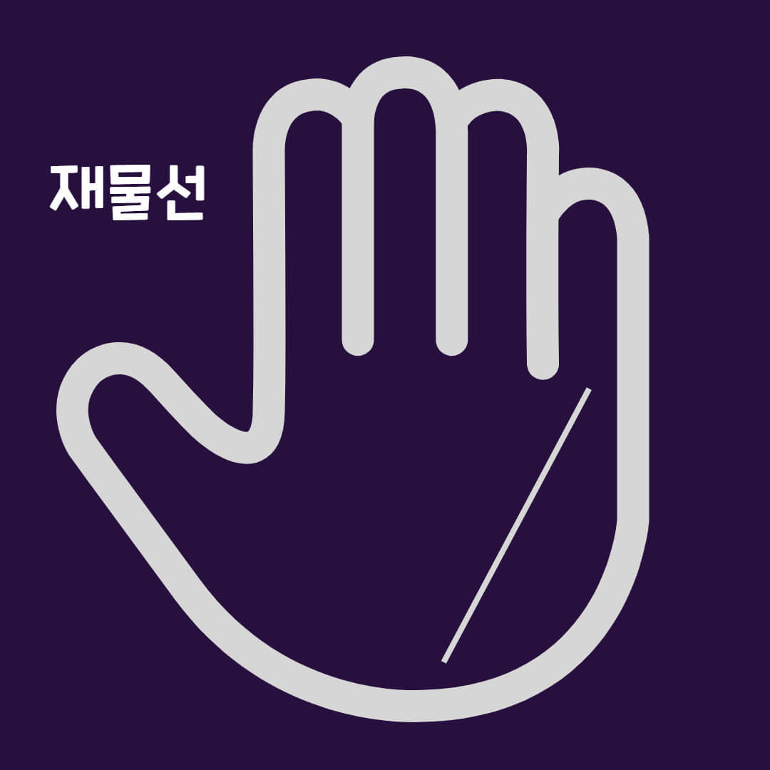 손금 재물선