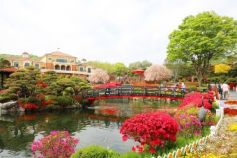 베어트리파크 철쭉제