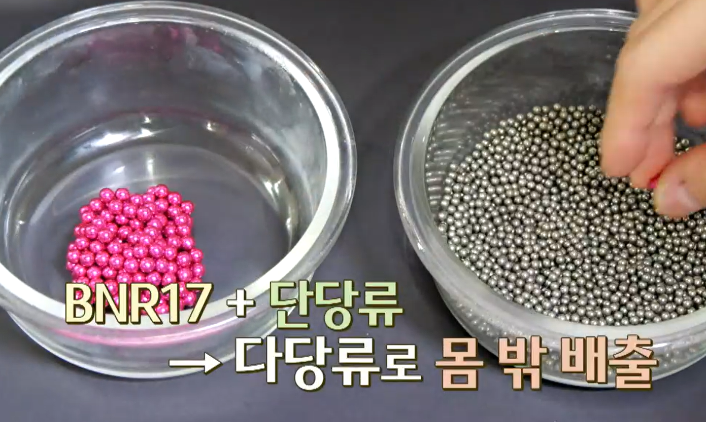 BNR17유산균 효능