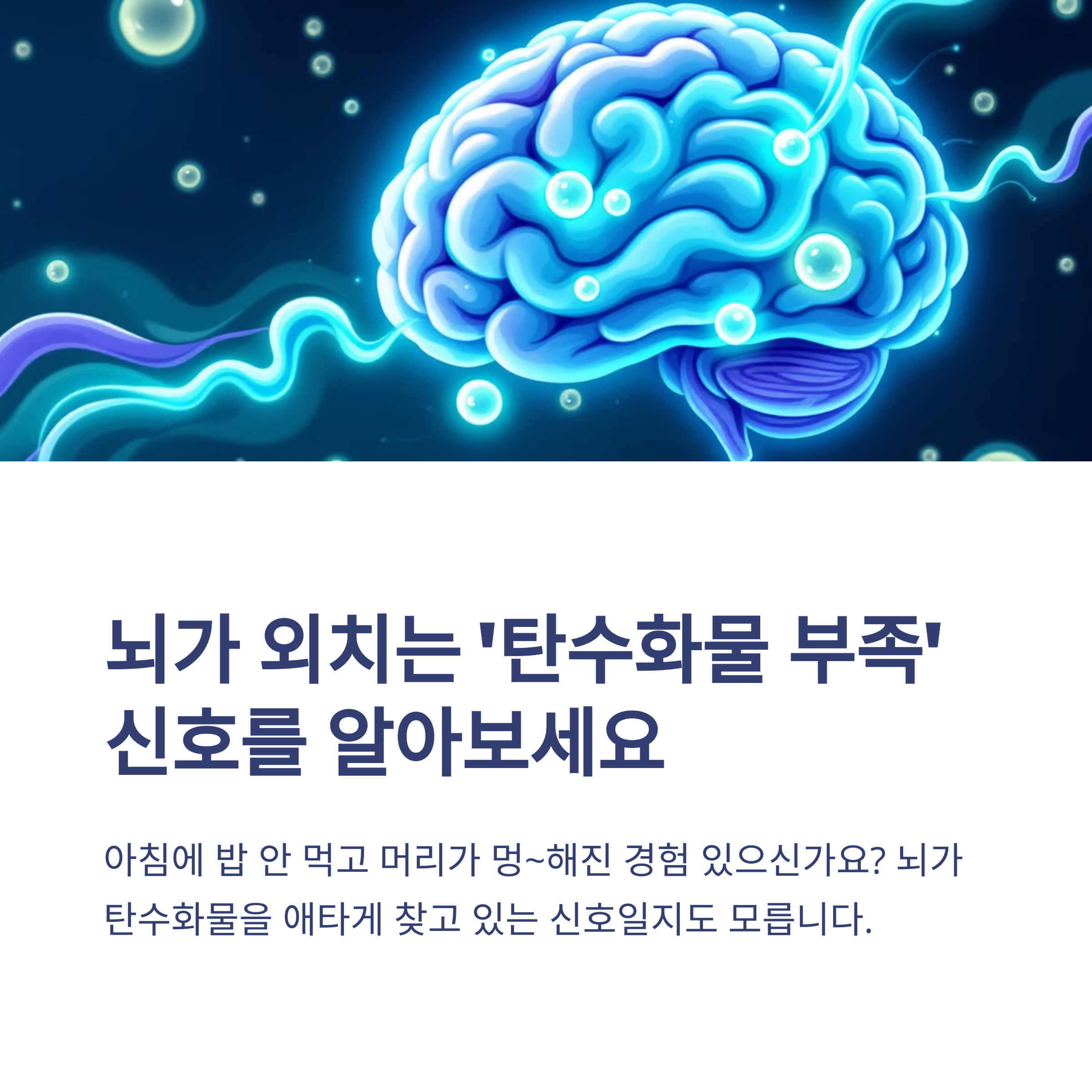 탄수화물은 뇌 기능에 필수적이다: 똑똑한 두뇌를 위한 영양 이야기