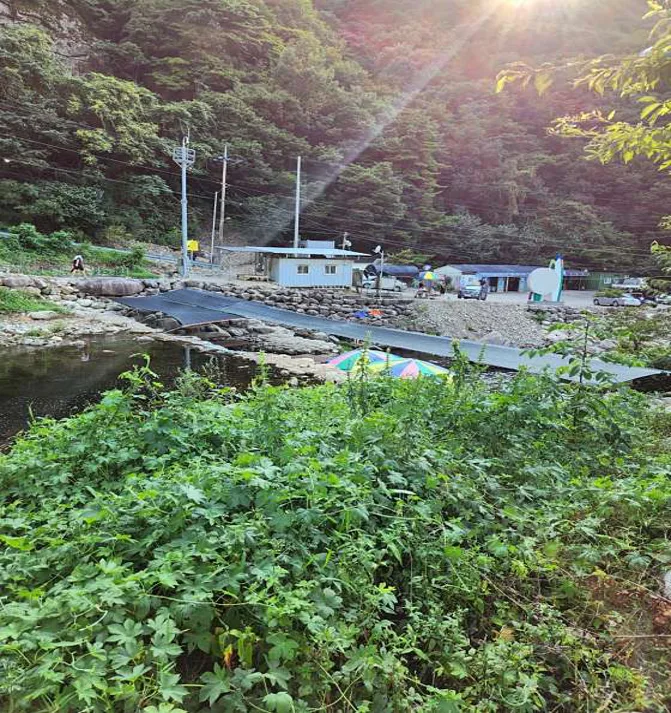 치산계곡