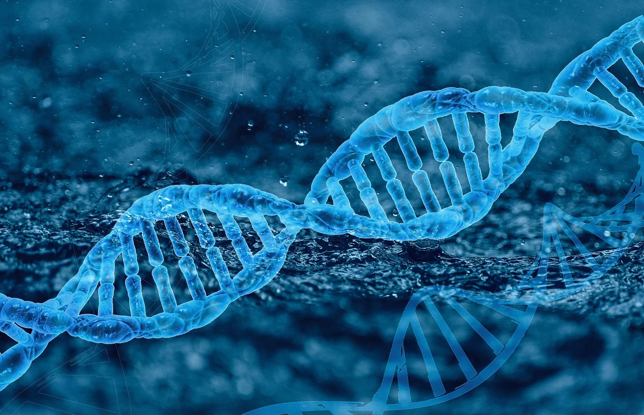 CRISPR 기술을 활용한 식물 유전자 강화: 미래 농업의 혁신