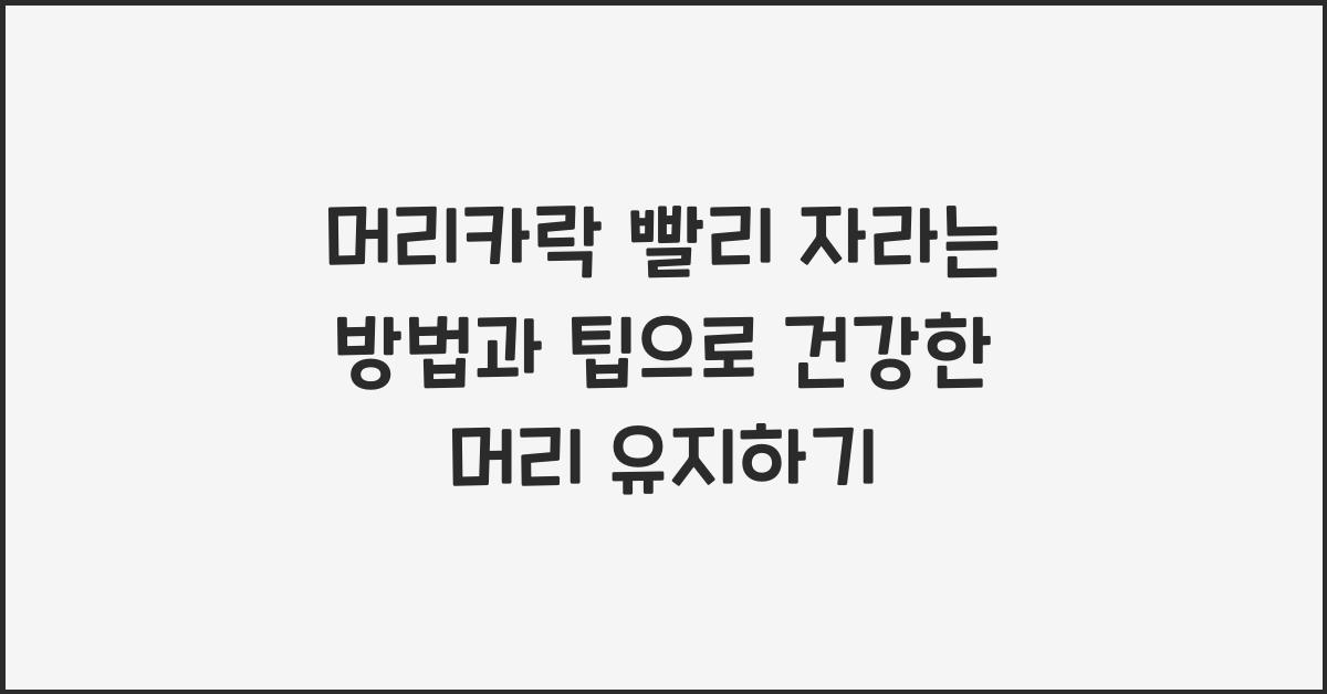 머리카락 빨리 자라는 방법과 팁