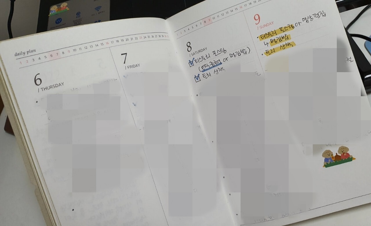 다이어리 사용 예시