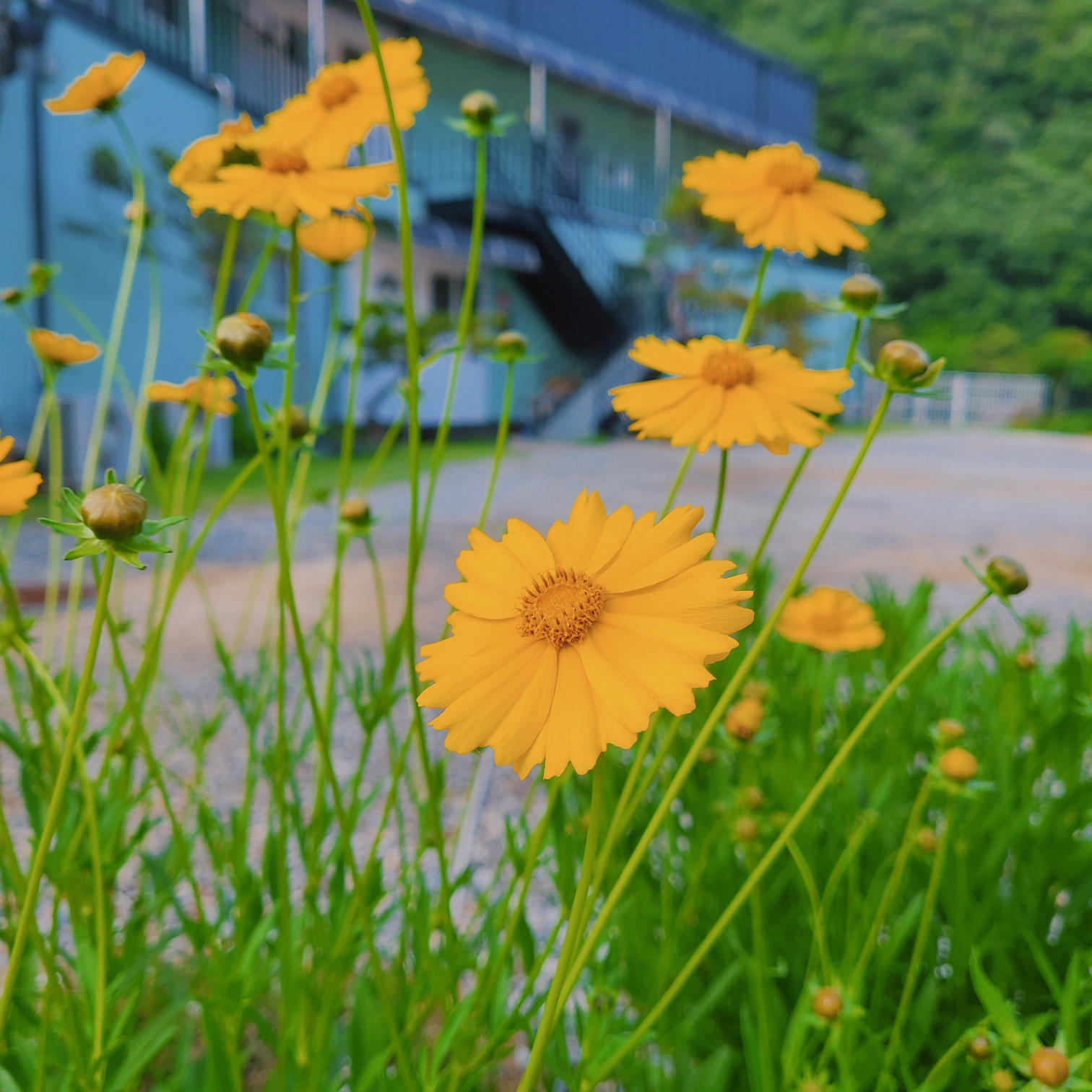 시크릿문 펜션 모습